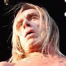 Iggy Pop