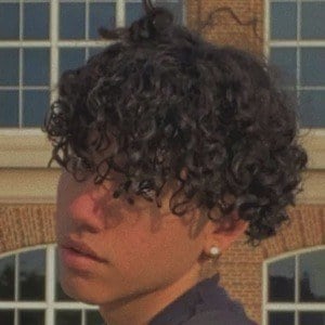 Cute curly hair boys HD wallpapers | Pxfuel