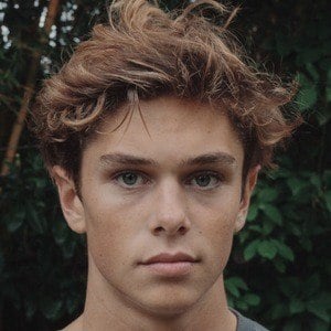 Cole Alves Profile Picture
