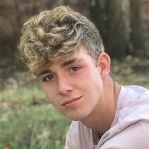 Alxhendy Profile Picture