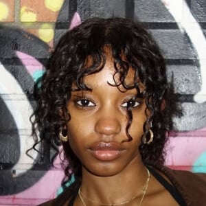 aminathree Profile Picture