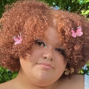 Sierra Ann Profile Picture