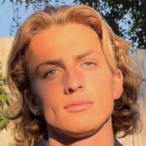 Lucas Ansel Profile Picture