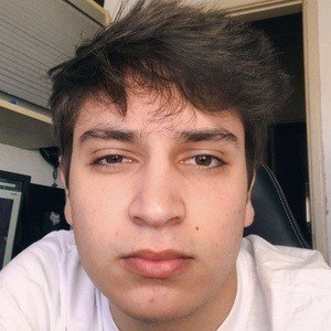 Guilherme Artioli Profile Picture