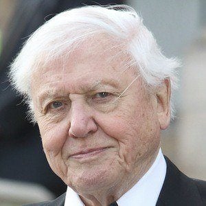 David Attenborough Profile Picture