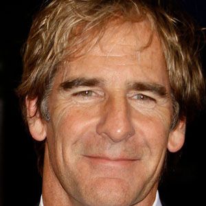 Scott Bakula Profile Picture