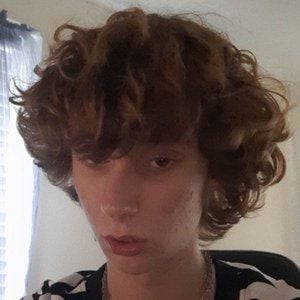 Dylan Brislen Profile Picture