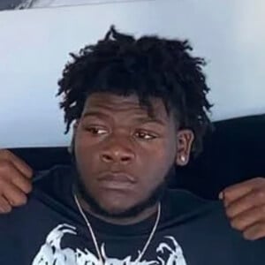Blue Butler Profile Picture