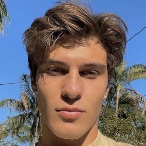 Sean Cavaliere Profile Picture