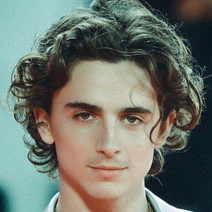 Timothée Chalamet Profile Picture