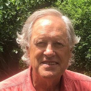 Tom Chapin Profile Picture