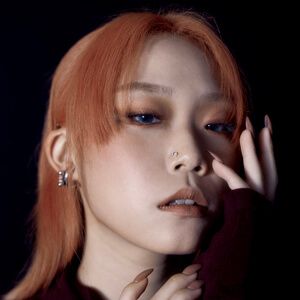 Bryn Choi Profile Picture