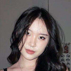 cocotsaur Profile Picture