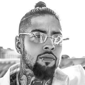 David Correy Profile Picture