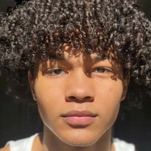 Curlyhairian Profile Picture
