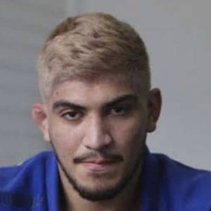 Dillon Danis Profile Picture