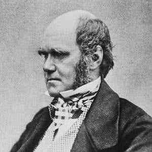 Charles Darwin Profile Picture