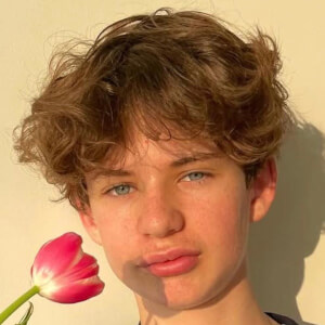 Lowiek Desmet Profile Picture