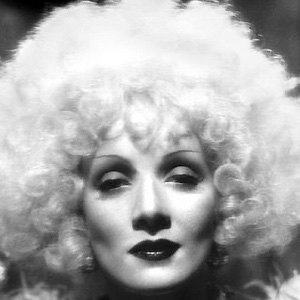 Marlene Dietrich Profile Picture