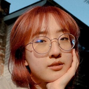 dobochobo Profile Picture