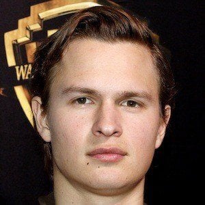 Ansel Elgort Profile Picture