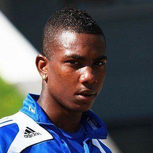 Elijero Elia Profile Picture