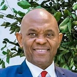 Anthony Onyemaechi Elumelu Profile Picture