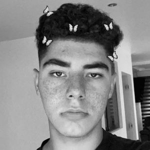 Donovan Estrada Profile Picture