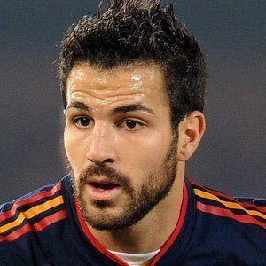 Cesc Fàbregas Profile Picture