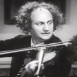 Larry Fine Profile Picture