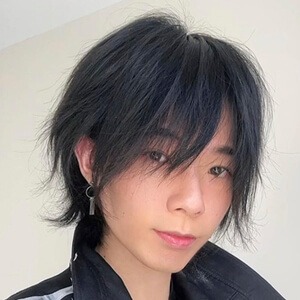 flightlesskite Profile Picture