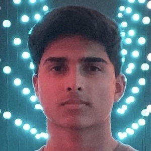 gavnk Profile Picture