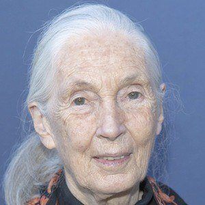 Jane Goodall Profile Picture