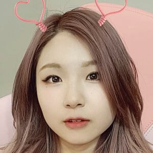 HAchubby Profile Picture
