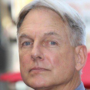 Mark Harmon Profile Picture