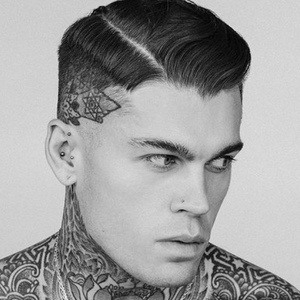 Stephen James Hendry Profile Picture