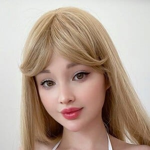 Hidori Rose Profile Picture