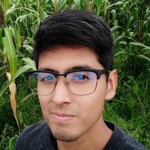 iLion Profile Picture