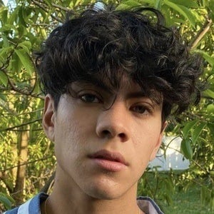 Julian Jara Profile Picture