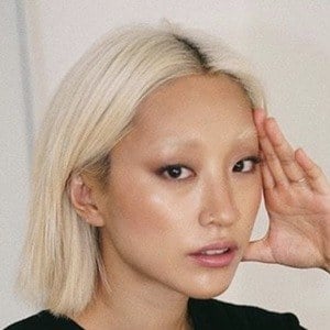 Dasha Kim Profile Picture