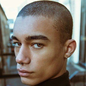 Reece King Profile Picture