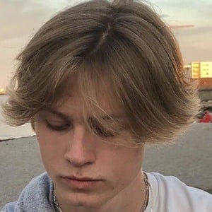 Lukas Lagersson Profile Picture