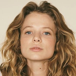 Allison Lanier Profile Picture