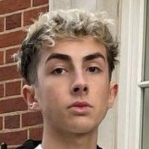 LookingForLewys Profile Picture