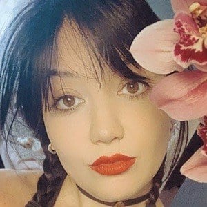 Daisy Lowe Profile Picture