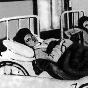 Typhoid Mary