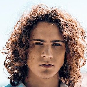 marcodelia Profile Picture