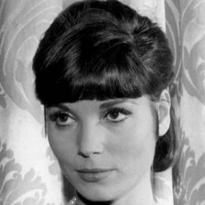 Elsa Martinelli Profile Picture