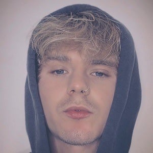 Tristan Maxted Profile Picture