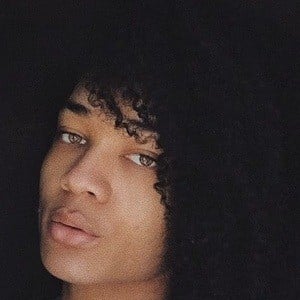Winter Vanity Profile Picture
